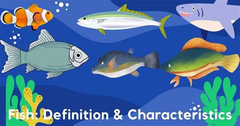 Fish: Definition and Characteristics .